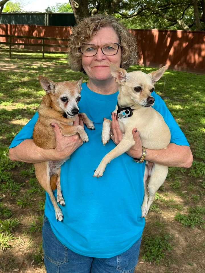 Privileged Paws Inn